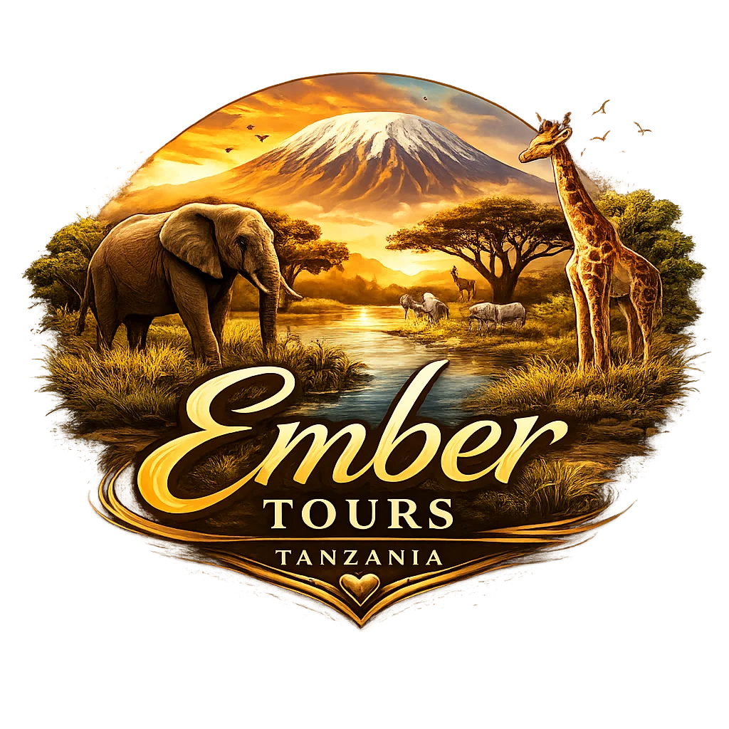 Ember Tours